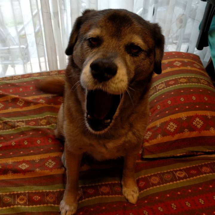 81737dc3 dcbd 4b79 8df6 d835d4389bb6 1525849482543