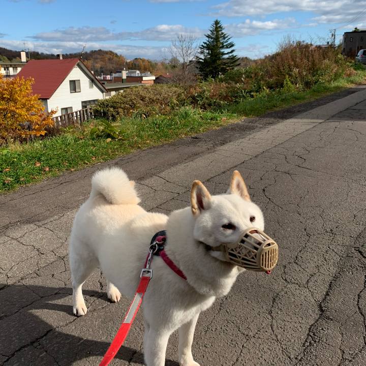 81738023 f9b2 415d 8c05 e678ef46dd52 1572987624655