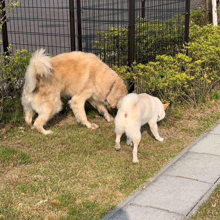 81738beb 2afb 4f2a 91fc 1f0c88170354 1556324724674