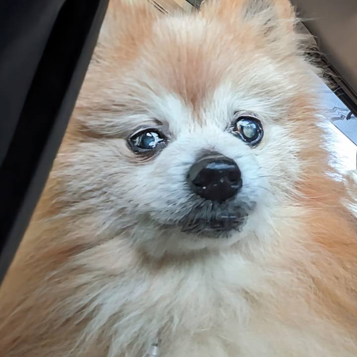 81738f0e b851 496b bd86 a8d6ea94a463 1718004620234