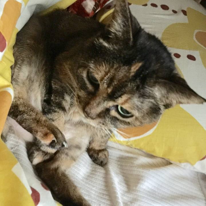 81739f5a 7ec1 4870 9aa4 f0743fdc82c1 1526248495393