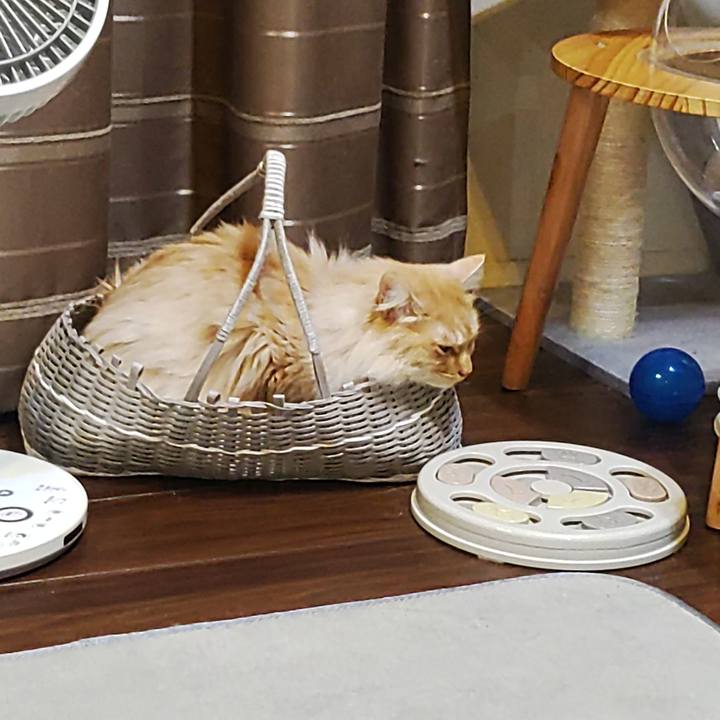 8173bb15 9b48 4744 8beb 6ed8357dc016 1708435659767