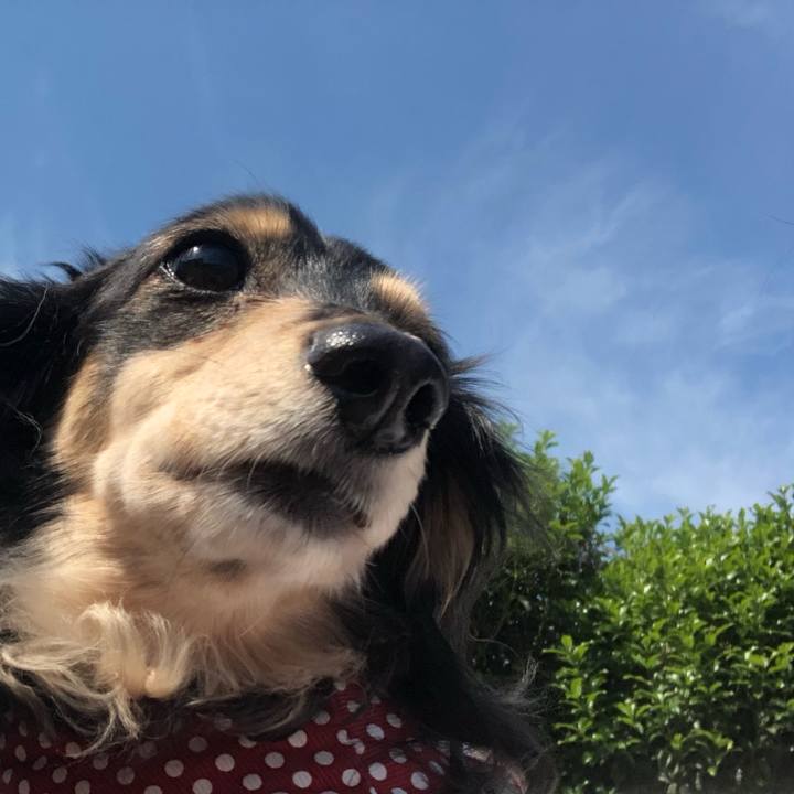 8173cefe b189 4553 80d2 a7b107dce3ff 1557618588347