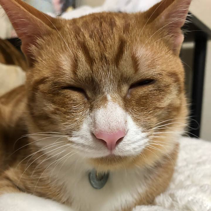 8173dad9 f302 4735 a157 80ebf351f291 1550576843683