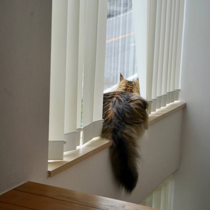 8173e8f0 90f8 4069 a01e 867aa83b4b2d 1692052366694