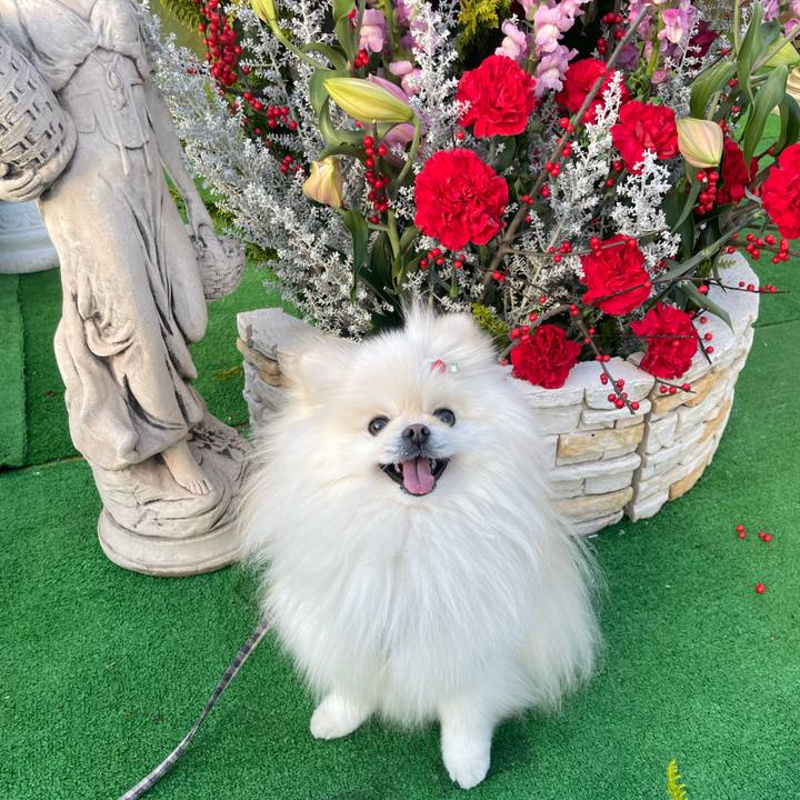 81740284 fa39 47f1 ab5c c493294770f0 1671017569573