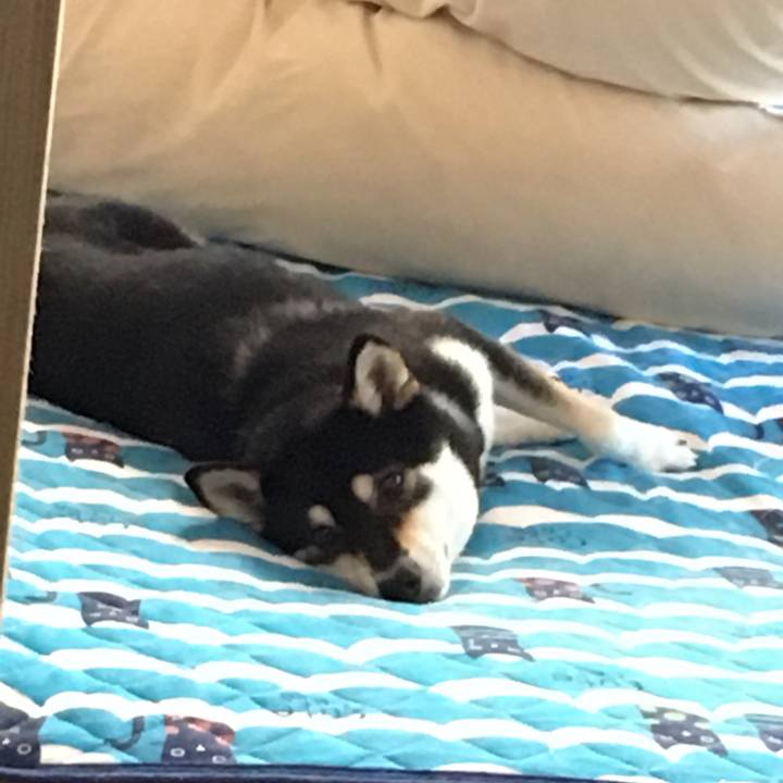 81741c1a 9553 4e67 9b83 c06b3ffd3552 1532318141277