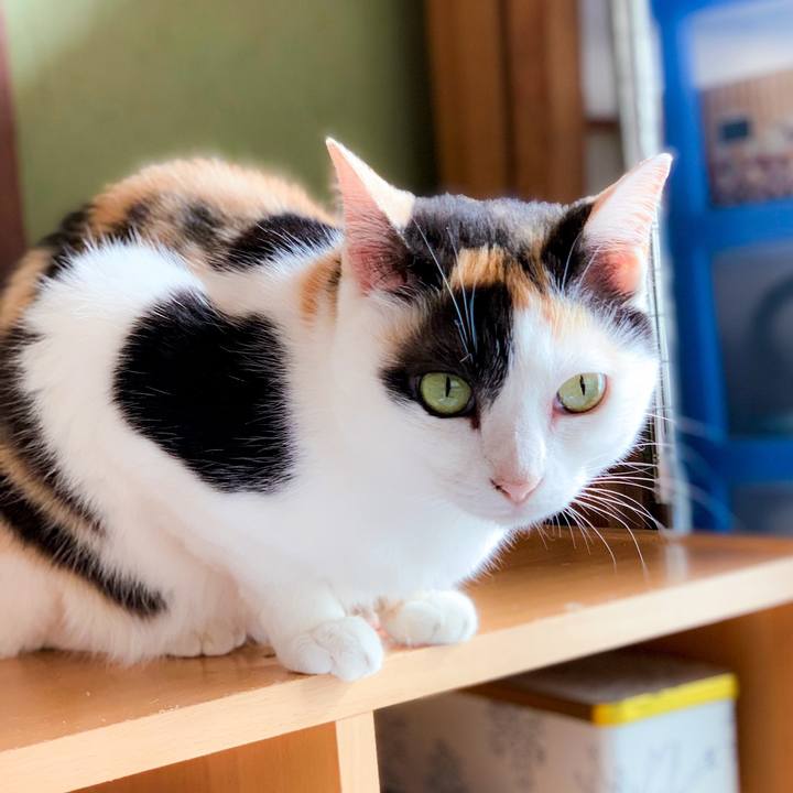 81742089 a752 4794 91d3 36025132faa6 1564883815562