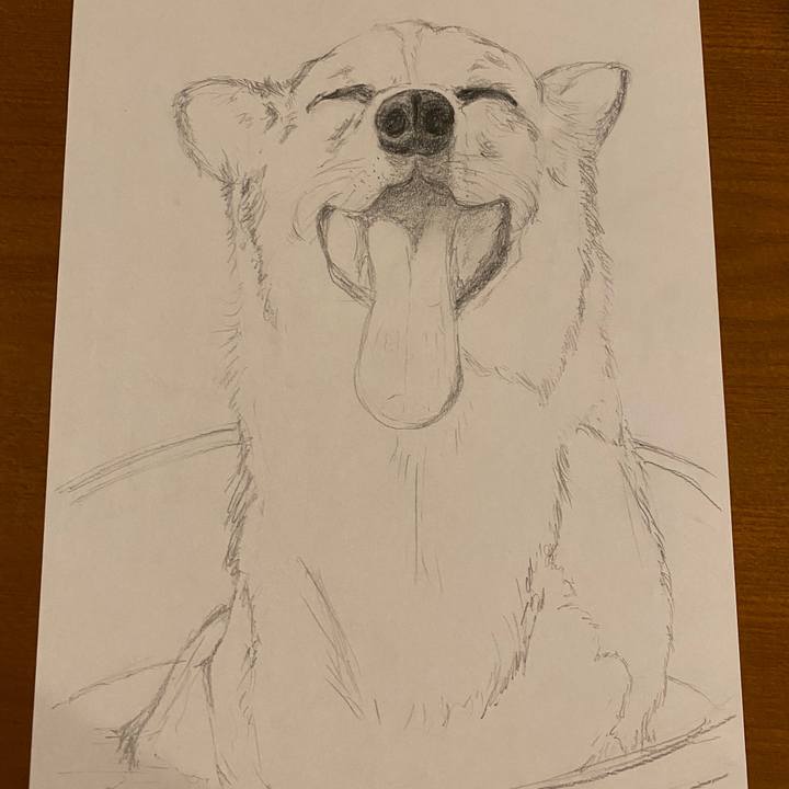 8174a4a1 e18c 4673 86ae 4242948cab21 1596289048115