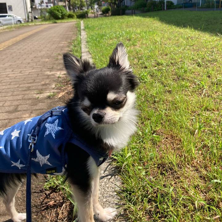 8174d0e1 e737 492b be9f 559599454052 1619939062105