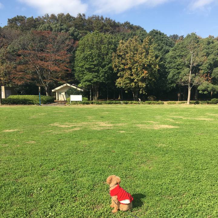 8174d312 a7f9 4f9b 8bd3 632267ccc834 1510290727528