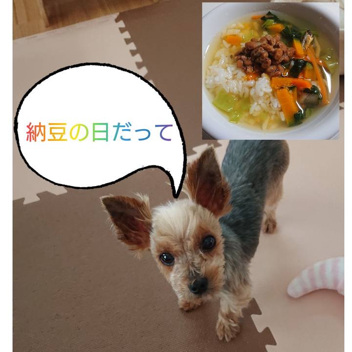 8174d8e5 5263 4521 b116 f749b8fbdbe4 1562764418540