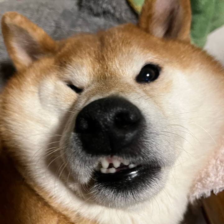 81752240 a42c 4492 b2c3 b840972f8b6e 1643037079080