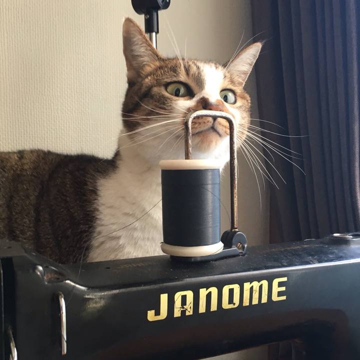 8175290a 8935 4823 b08d 68efdb9cdcd7 1542355783288