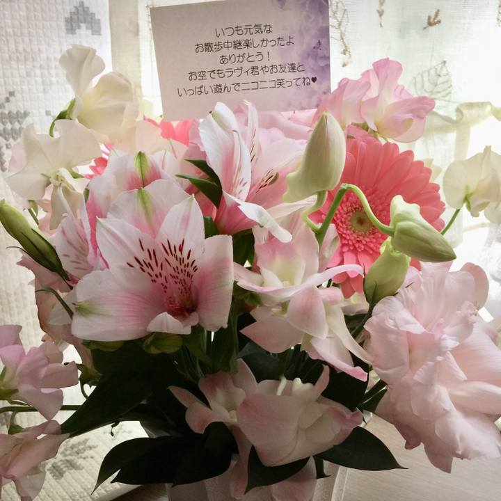 8175429c 9f93 46d2 a6e6 5f0bdb679603 1546052818083