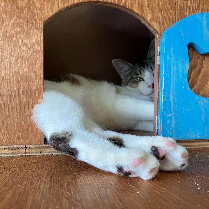 8175526a 5e7b 4e10 b946 87f0d58cec98 1719904108882