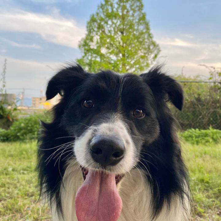 81757e4e a9db 43cb 9ffa 8e74ec147422 1650892189596