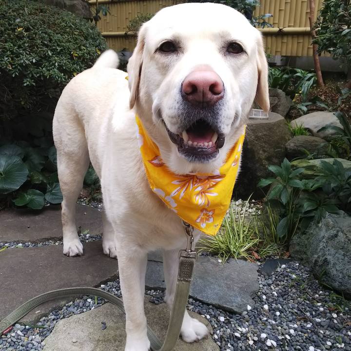 8175adb3 9f35 4ef8 bfe5 37d7fd566504 1580438689608