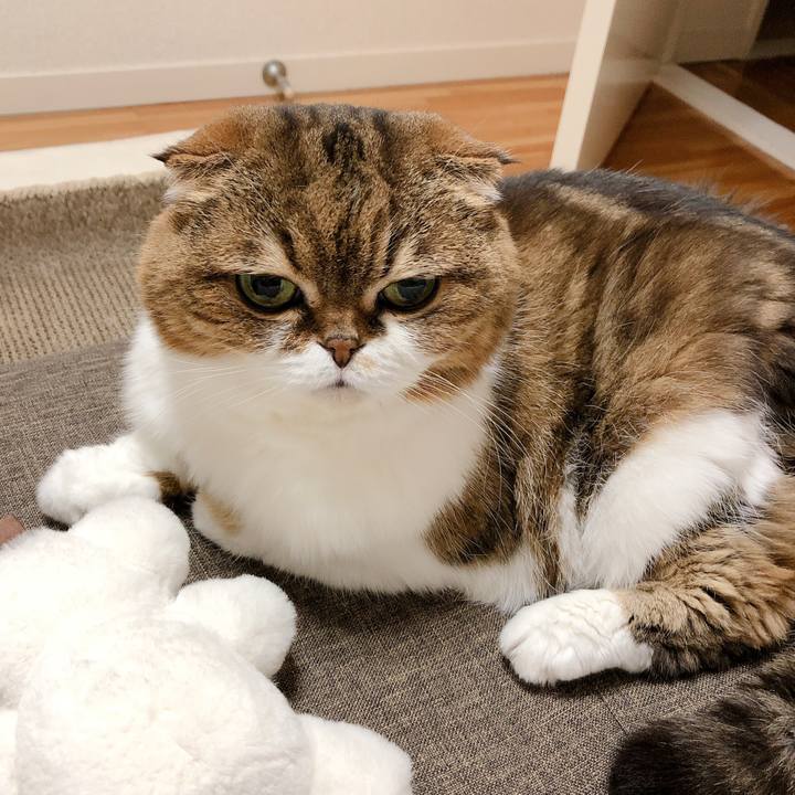 8175f7fd 76f4 4f22 8c39 02bd72c4a841 1599507184224