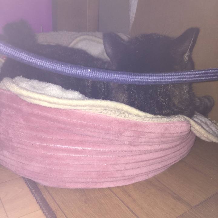 8175f891 1f35 4a7c 9ce4 7d29de50da1f 1592525054286