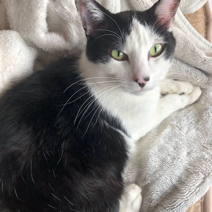 81761e16 1f1c 4049 bf9b b2d4e1a3016a 1583903398798