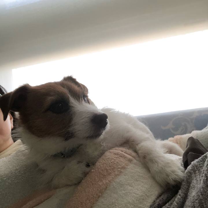 81763695 e8ea 4388 a349 bc291ec84d59 1578882820470