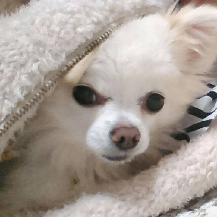 817654c1 985b 4c19 abaf 0fde97451895 1516369964861