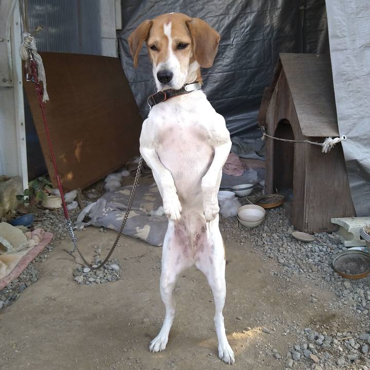 81769d81 9b79 44e9 8d55 ed300c8b72cb 1644409657846