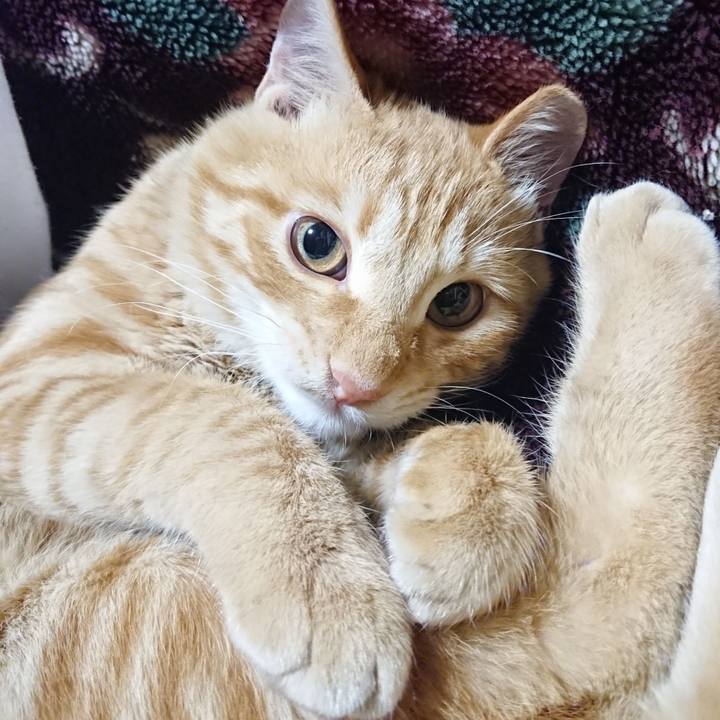 8176a886 462d 4170 9b16 219817dcda9c 1637672127046