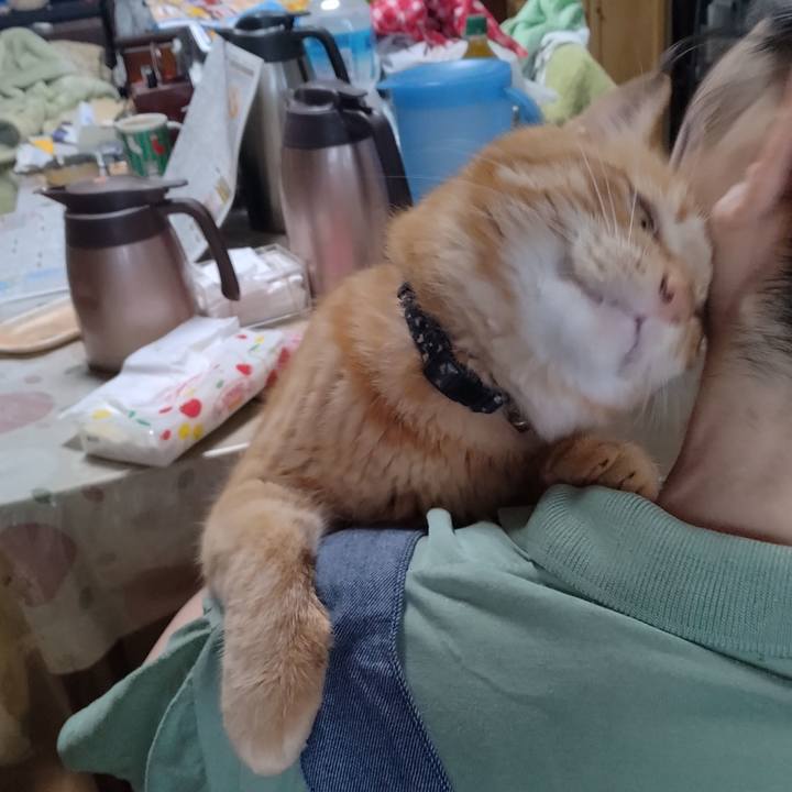 8176b228 cacc 4a47 b343 0b16bf5f2e00 1719095759562