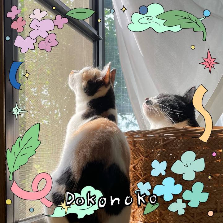 8176b9a0 4793 4af8 8578 1845c1b044c4 1717627758101