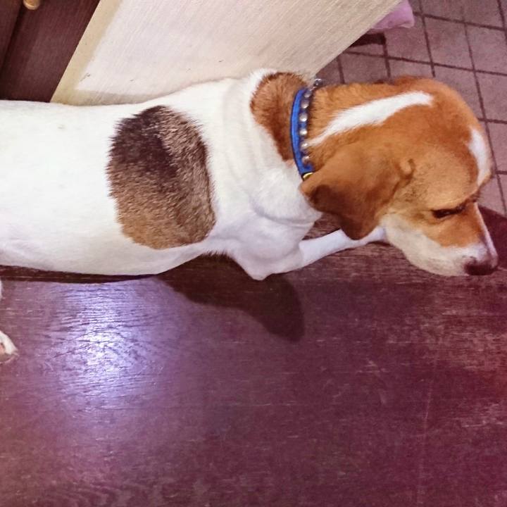 8176ba99 42c7 4533 b845 87fbe962240b 1566787275937