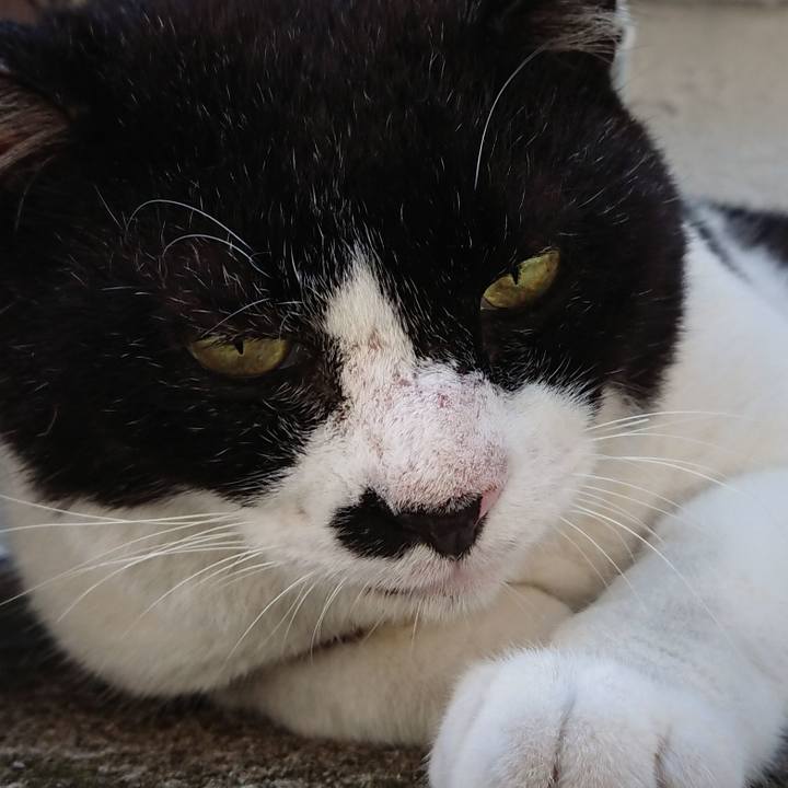 8176da78 5d0a 4670 986f 704efc9c0e0f 1627717306091