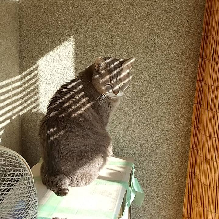 8176fa1c d5e8 4a9c baa9 8ab862b54b9f 1609641986713