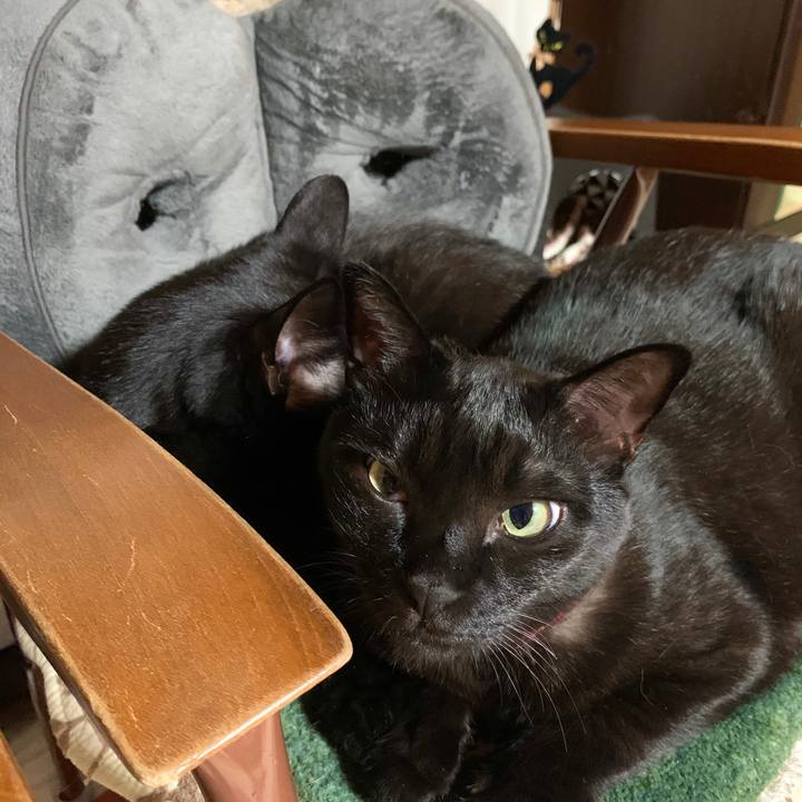 8176fe0a 96cd 43d3 afaf 4eac70eab041 1578995471510