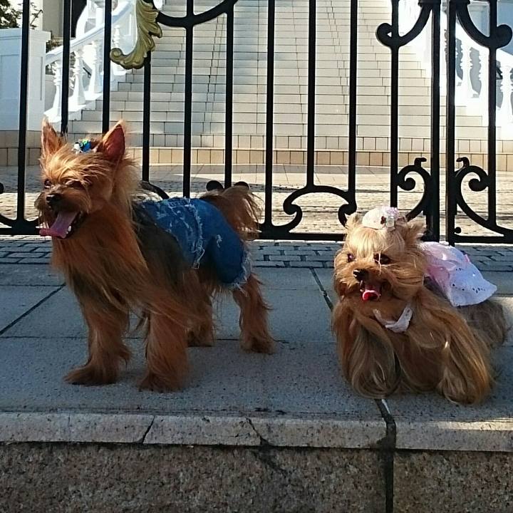 817726a2 3aa3 47ea 9f1f c2307a7a1c98 1586495780346