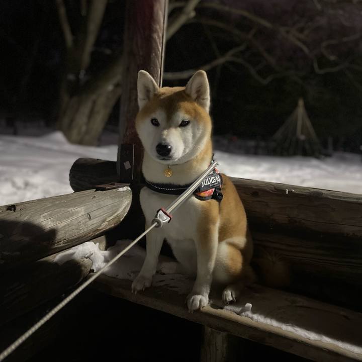 817740d5 8447 4db5 a7ab 894f77856fe1 1614261273245