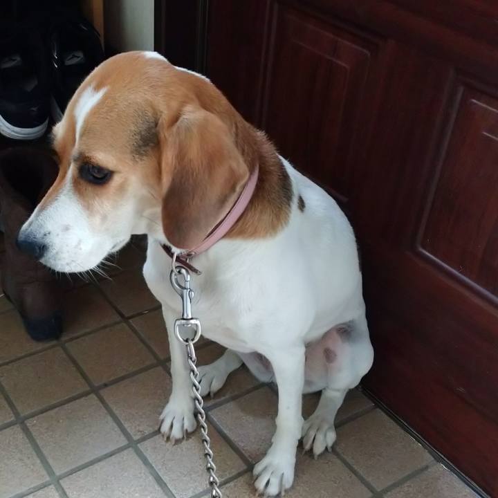 81776167 6313 4c1c bba7 586d3adf1988 1600048991663