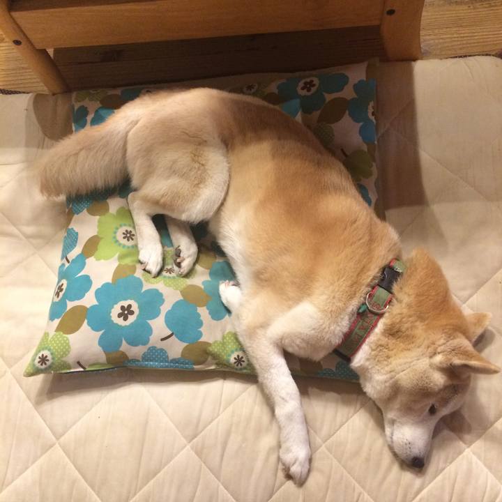 817800ff 19a2 46d4 a139 cf6f383c8b91 1558869456143