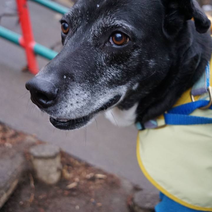 81781ac4 ff2d 42ff aecc 17bc2ca27658 1770768484727