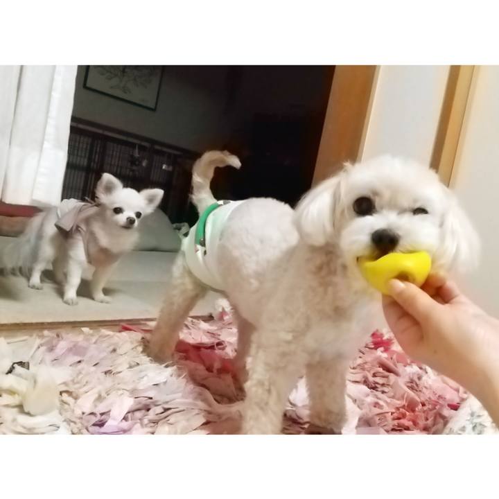 817875c8 4177 4b31 9a32 7e4d9c326183 1627641557387