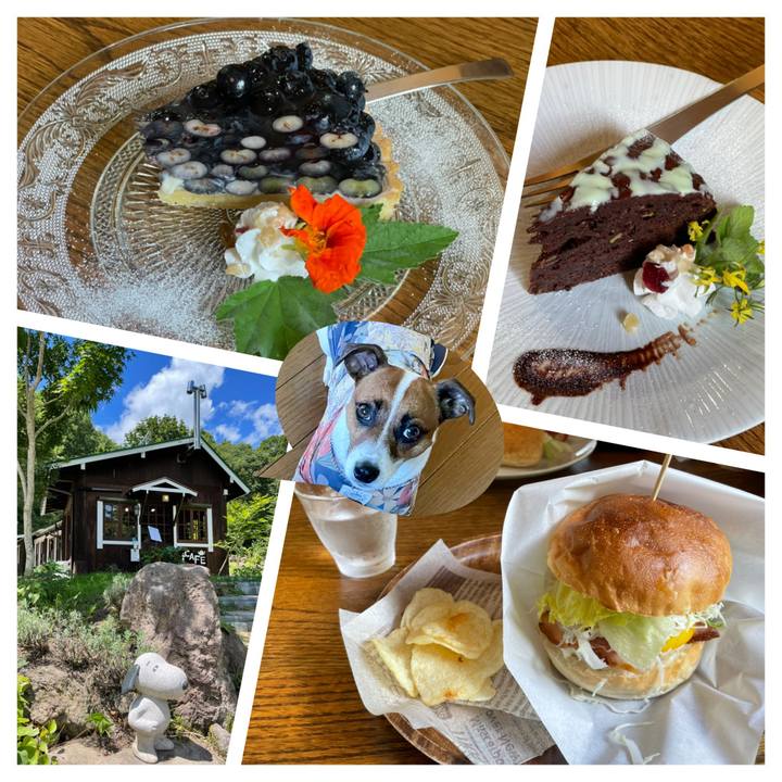 817877da 2d6b 434b 80bf 4d194c191b07 1628059167061