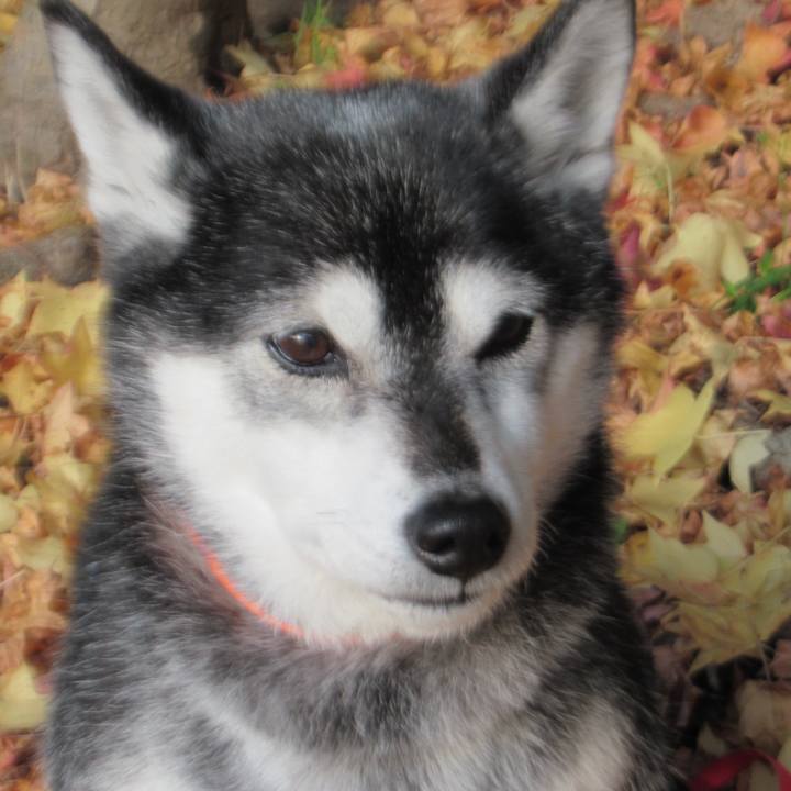 8178ba38 757f 4b77 b255 d64a714d2315 1731558108933