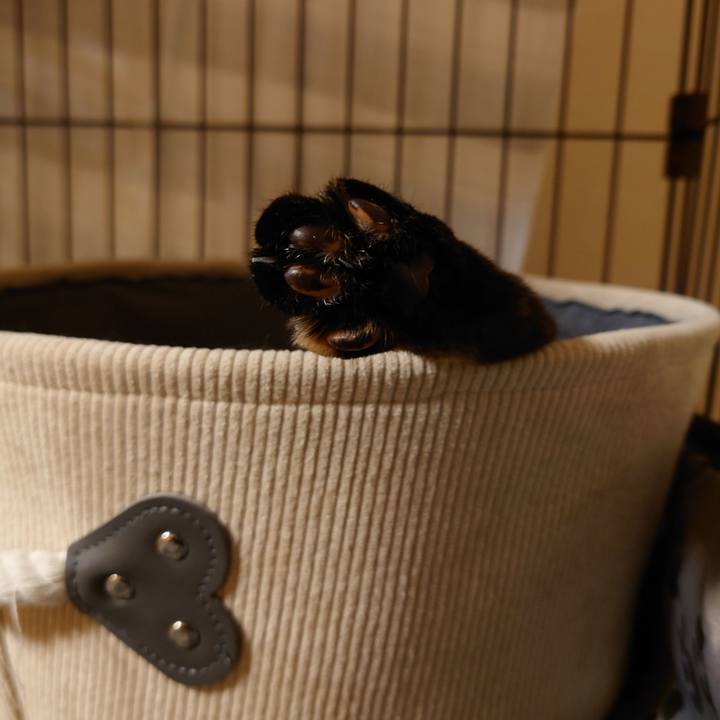 817907d1 89e2 460c 8760 e55d4c220d68 1760602658345