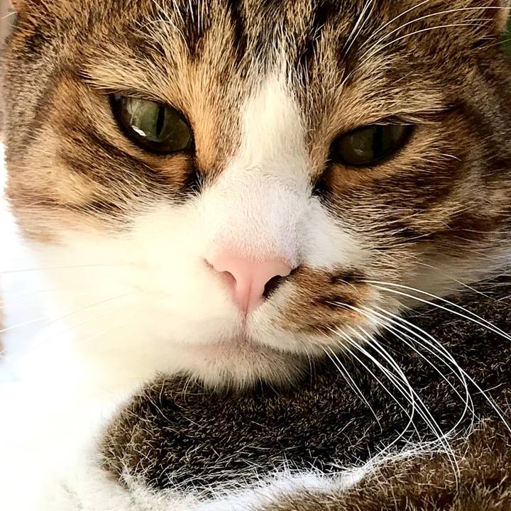 817929a4 303e 439a b7bd bcede0635ad8 1549080136872