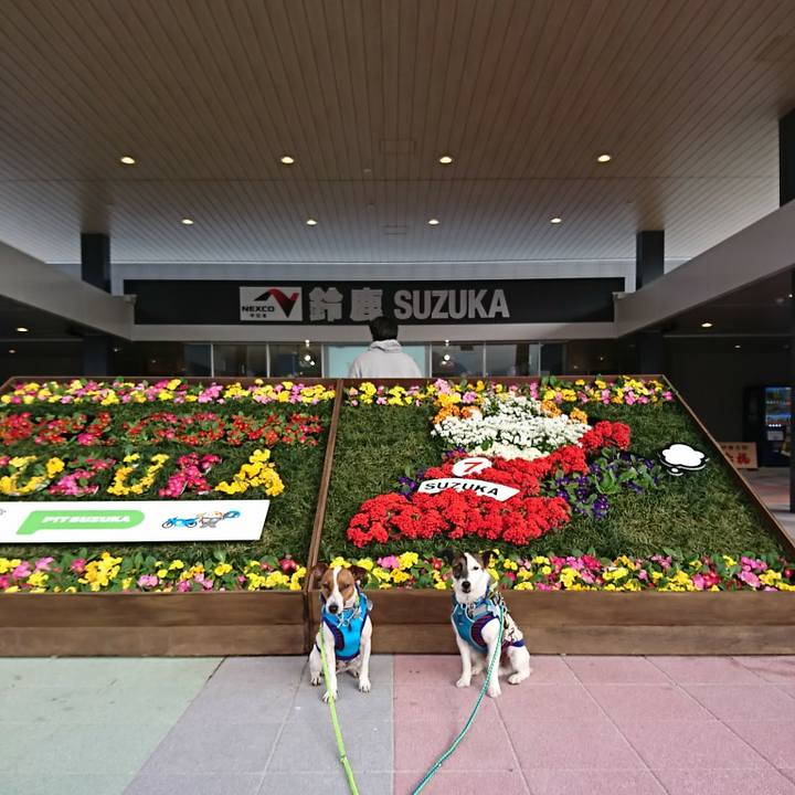 81792f9b b9c6 4063 8323 26b0183f87d4 1555745013444