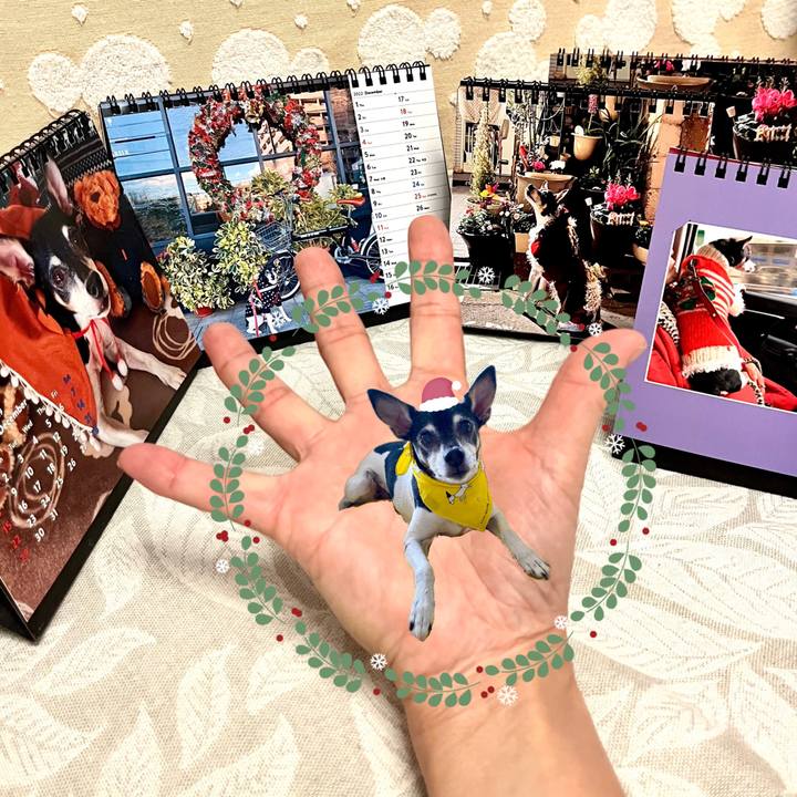 81793f18 0d78 43a5 87a5 2bca0101f7e5 1670449839496