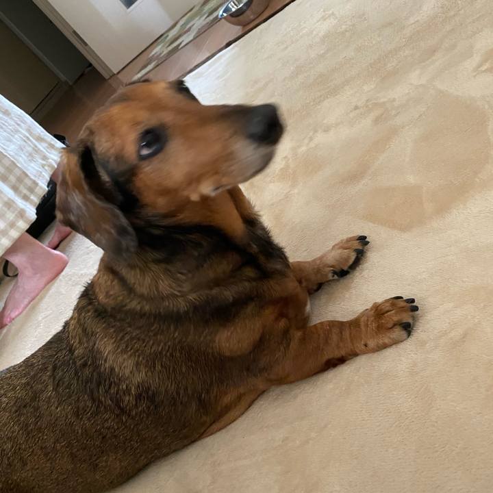 8179aeef 2b6c 4509 aa56 88c12620bf0c 1595799261863