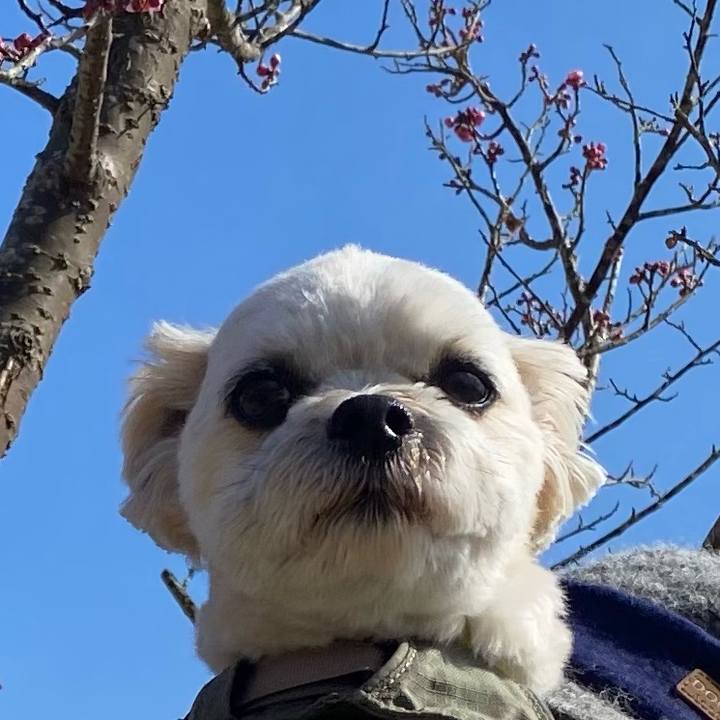 8179d261 7a73 4475 8944 03b69c32c647 1644896878854