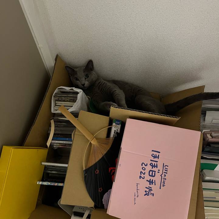 8179d35c d7ee 42a5 8946 c279a5b905f1 1760357404983